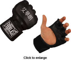 everlast gloves