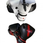 hayabusa-mma-sparring-gloves