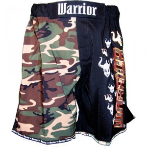 Domination Fight Shorts 35