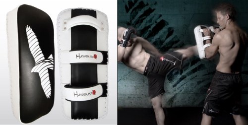 hayabusa-muay-thai-pads