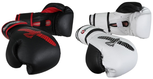 Hayabusa Sparring Gloves