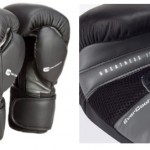 everlast-protex-2-mma-bag-gloves