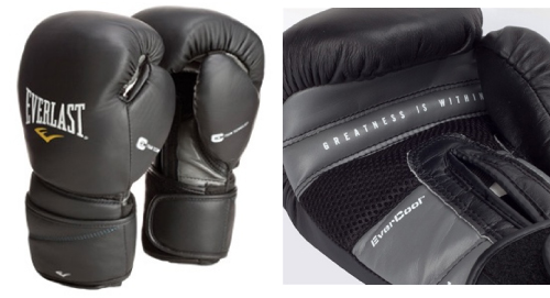 everlast-protex-2-mma-bag-gloves