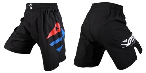 Form Athletics Fight Shorts 