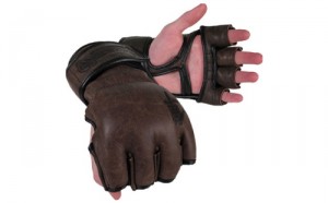 Hayabusa Kanpeki Elite Fight Gloves