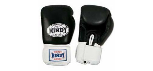 Windy Boxing Gloves 