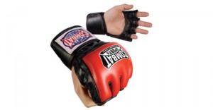 Combat Sports Traditional Fight Gloves