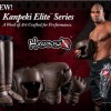 Hayabusa Kanpeki Elite Series