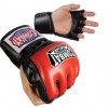 Combat Sports Traditional Fight Gloves